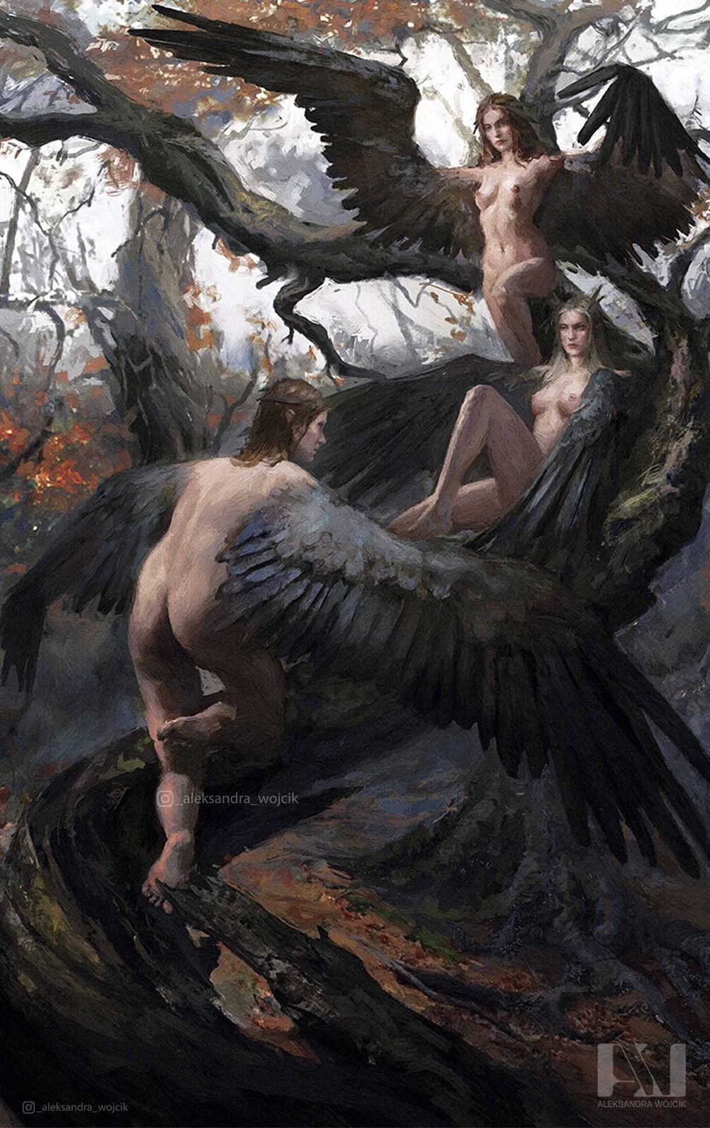 Harpy - illustration by Aleksandra Wojcik